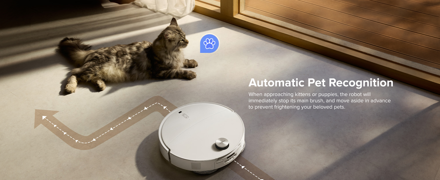 robot vacuum and mop