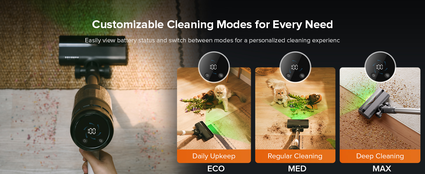 Cleaning Modes