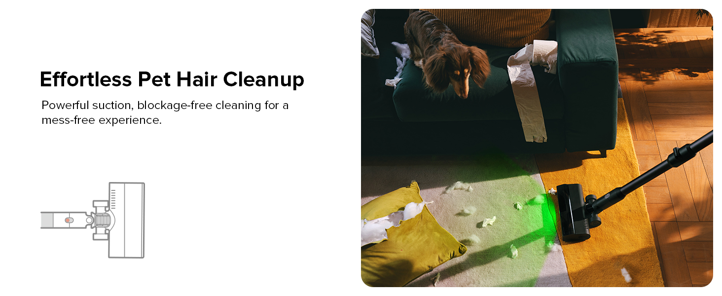Cleaning Pet Hair